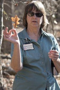 S Tuttle explaining oak leaf ID