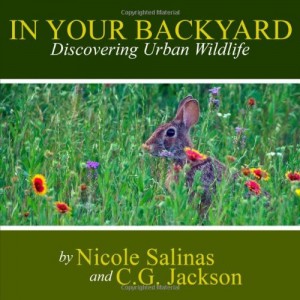 CJJackson_In_Your_Backyard